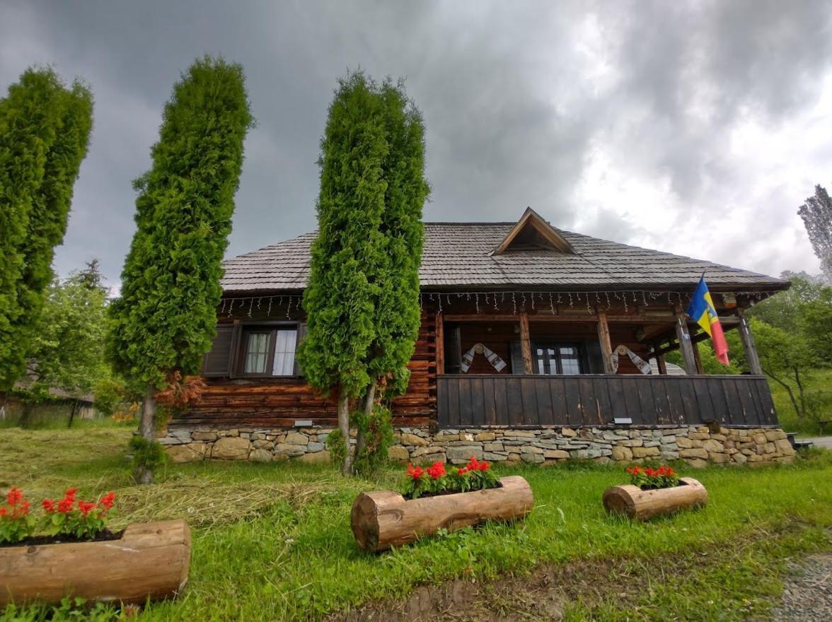 Casuta Lu' Liviu Villa Borsa  Luaran gambar
