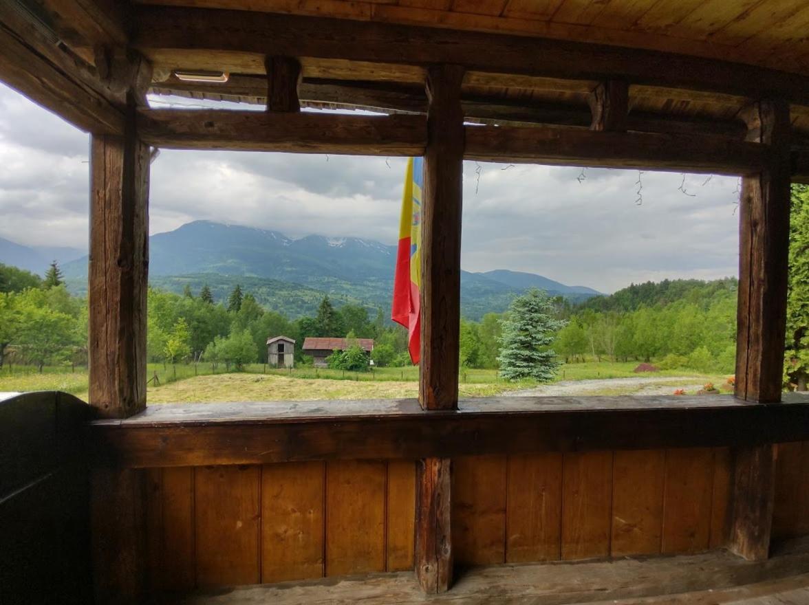 Casuta Lu' Liviu Villa Borsa  Luaran gambar